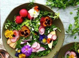Edible Flowers Book Launch at Scrumptious Reads